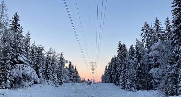 Trees covered with snow in Drammen.