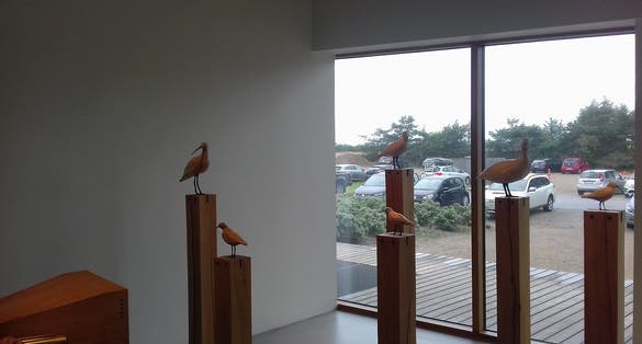 Photo of two rooms at the centre are dedicated exclusively to learning about the birds, with videos, interactive games featuring bird calls and art featuring the various birds of the Wadden Sea, Denmark.