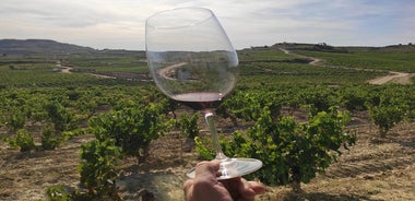Rioja Wine Tour: 2 Wineries From Pamplona