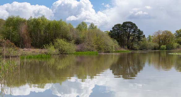 Photo of the Ornamental Lake on Southampton Common, UK.
