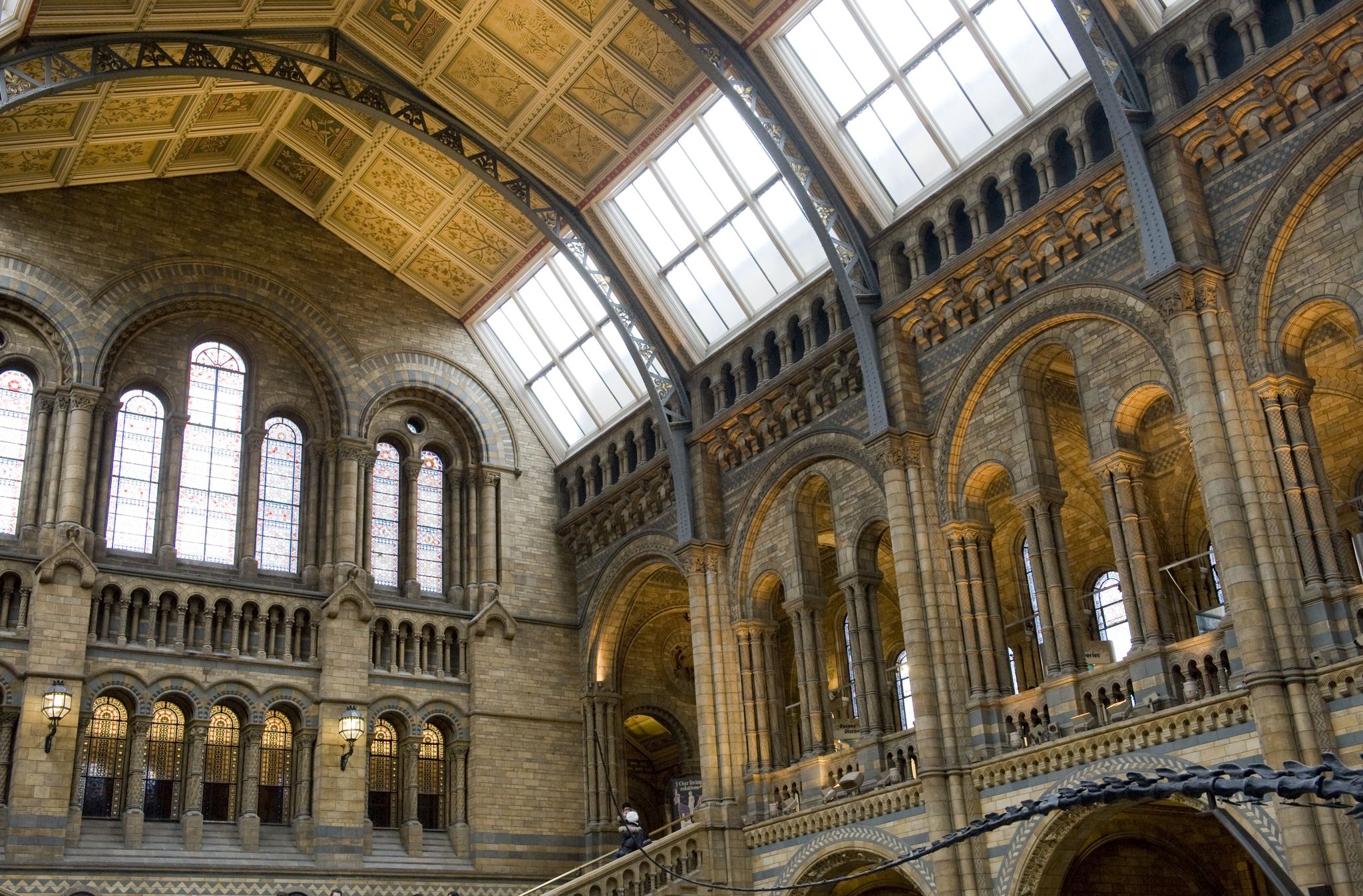 Photo of the main hall in the Natural History museum, London.
