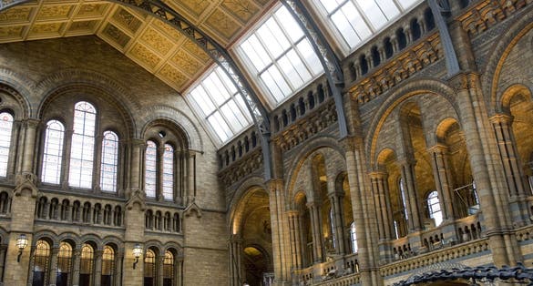 Photo of the main hall in the Natural History museum, London.