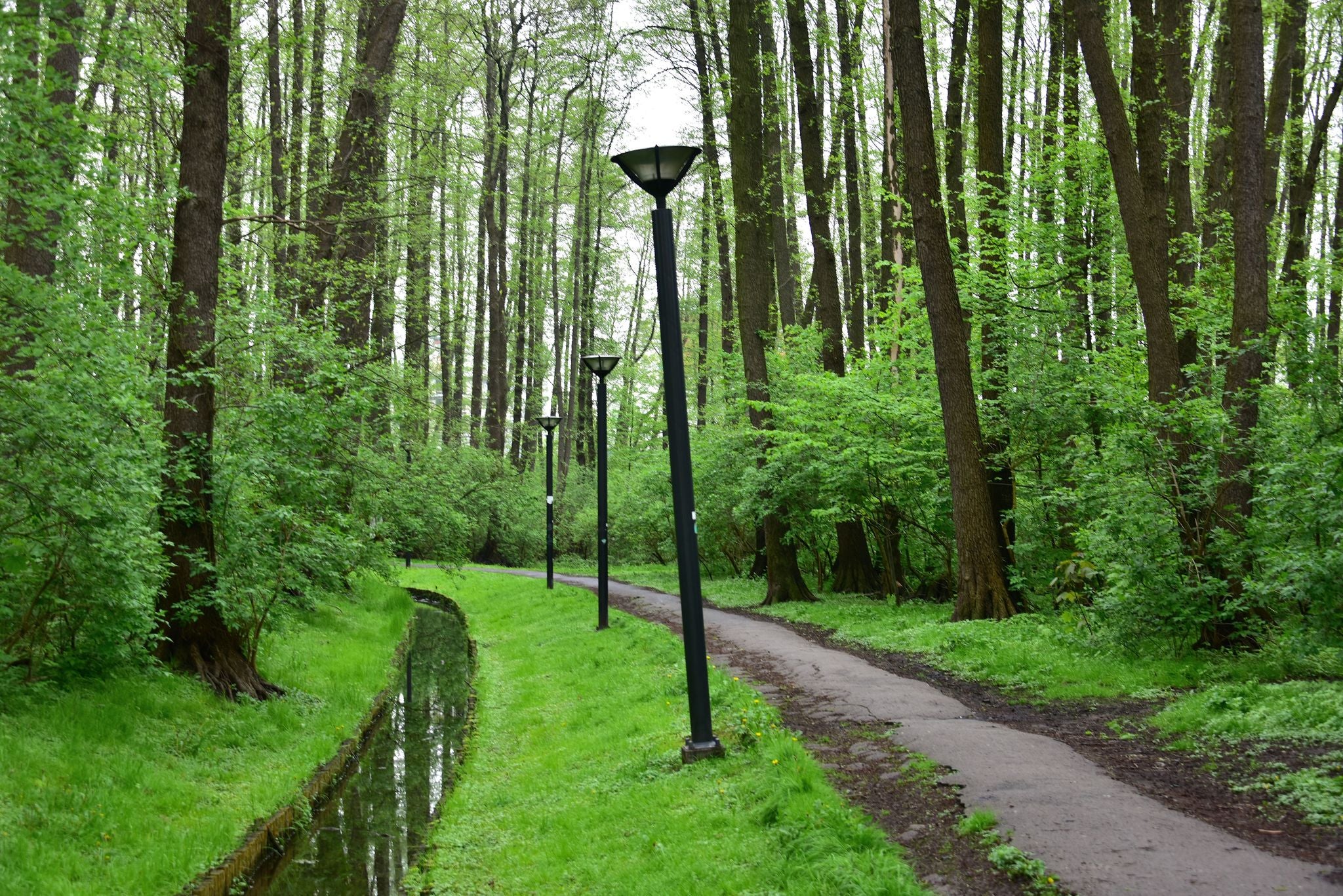 Zespół przyrodniczo-krajobrazowy Olszyna