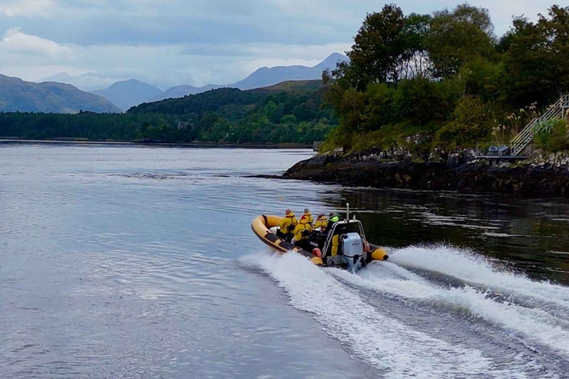 Fort William: 1hr Loch Safari Speedboat Tour