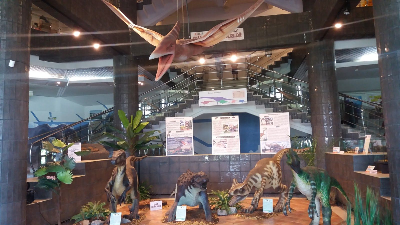 Museum of Natural Sciences "Răsvan Angheluță", Galați, Romania