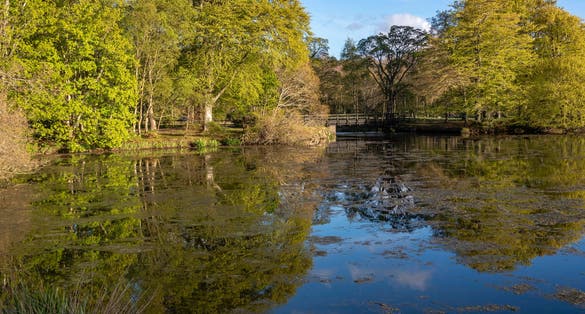 Photo of The loch at Haddo House ,Aberdeen , Scotland .
