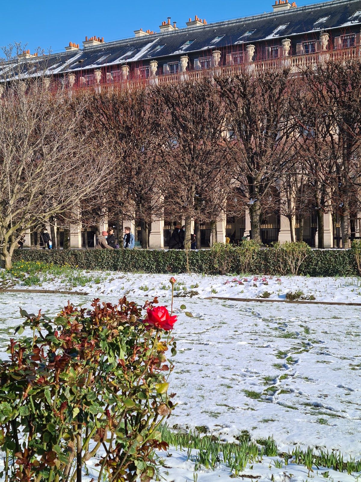 Paris, France. Panoramic view from Arc de Triomphe. Eiffel Tower and Avenue des Champs Elysees. Europe.