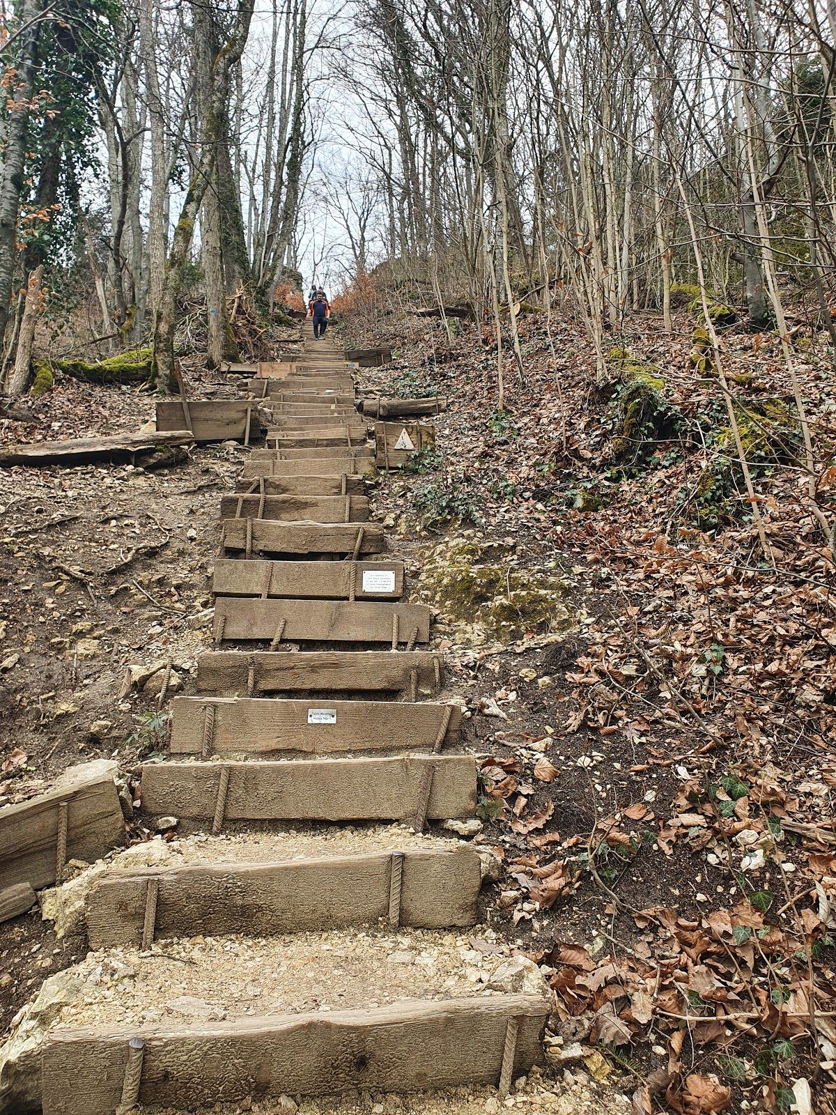 1000er Stägli, Olten, Bezirk Olten, Amtei Olten-Gösgen, Solothurn, Switzerland