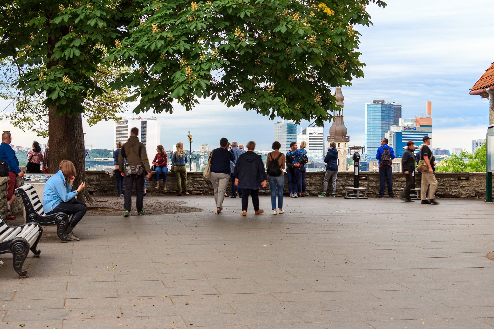 Photo of people in the Kohtuotsa Viewing platform, enjoying the views of the old town.