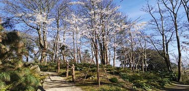 Lafcadio Hearn Japanese Gardens Admission Adult Ticket 