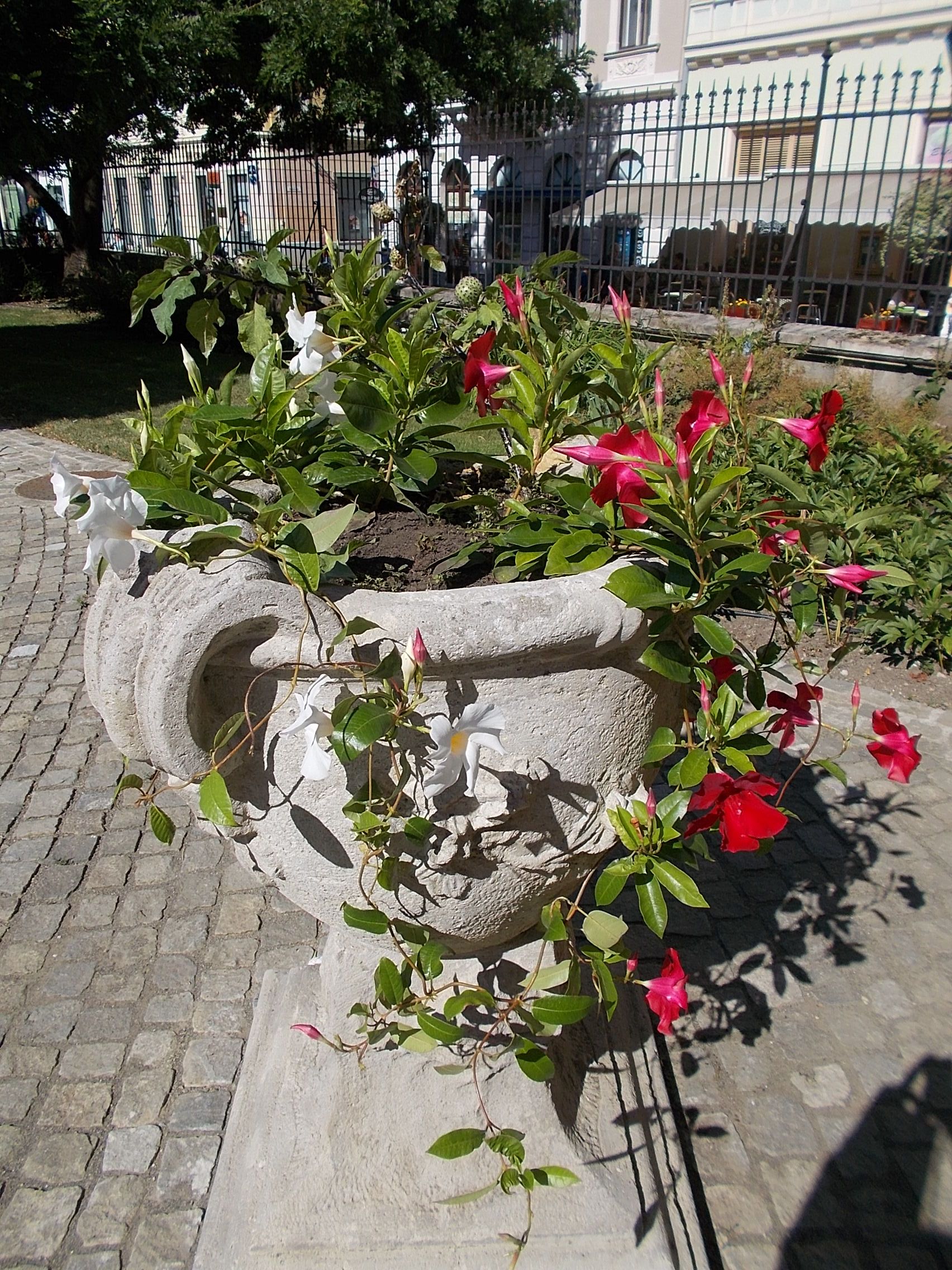 photo of Archiepiscopal Palace (Eger) .