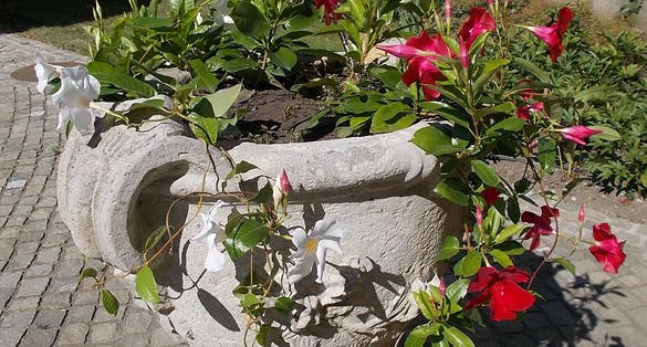 photo of Archiepiscopal Palace (Eger) .