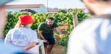 Algarve: Classic Wine Tour & Tasting in Silves