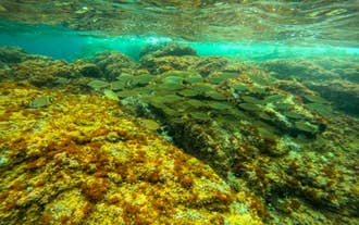 Photo of the famous resort of the Spanish Costa Brava in Lloret de Mar 