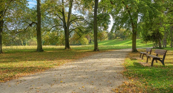 way path forest park city park worms germany autumn backplate
