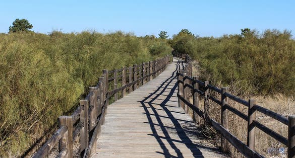 Photo of National Dunes of Vila Real de Santo António in portugal.