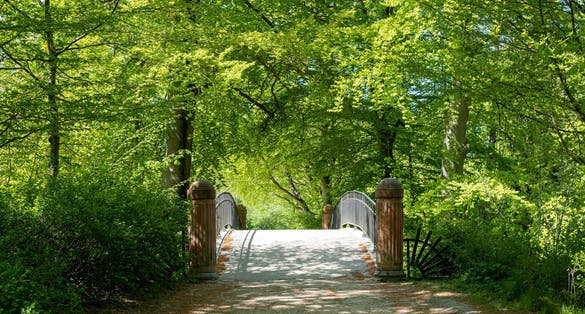 Photo of pitoresque bridge in Frederiksberg Gardens during spring, Copenhagen, Denmark.