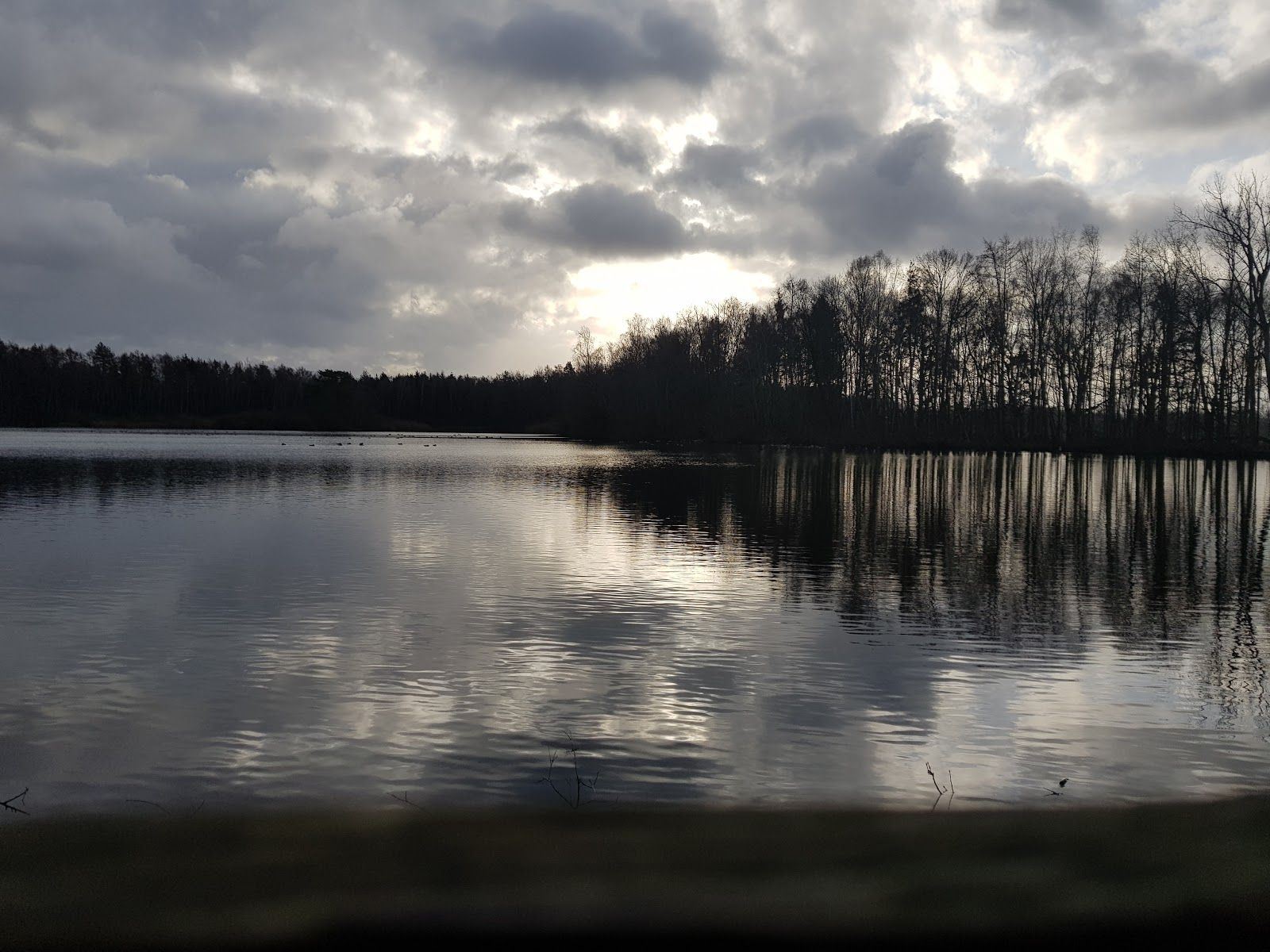 Provincial Domain Prinsenpark, Retie, Turnhout, Antwerp, Flanders, Belgium