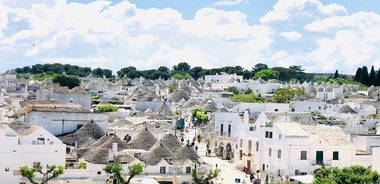 From Brindisi. Ostuni, Alberobello and Polignano a Mare Tour