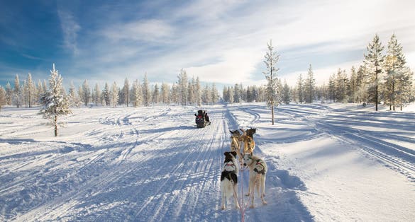 Photo of dog sledding, Ivalo.
