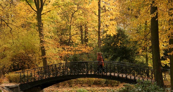 Photo of bridge in Szczytnicki Park in Wroclaw, Poland.