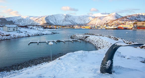 photo of view of Stokmarknes is a town located on the northern coast of Nordland county, Norway. The town is the headquaters to the coastal express company, and also the Coastal Express Museum as seen on the right.