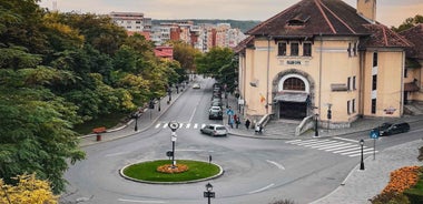Iasi: Walking Tour with a local guide