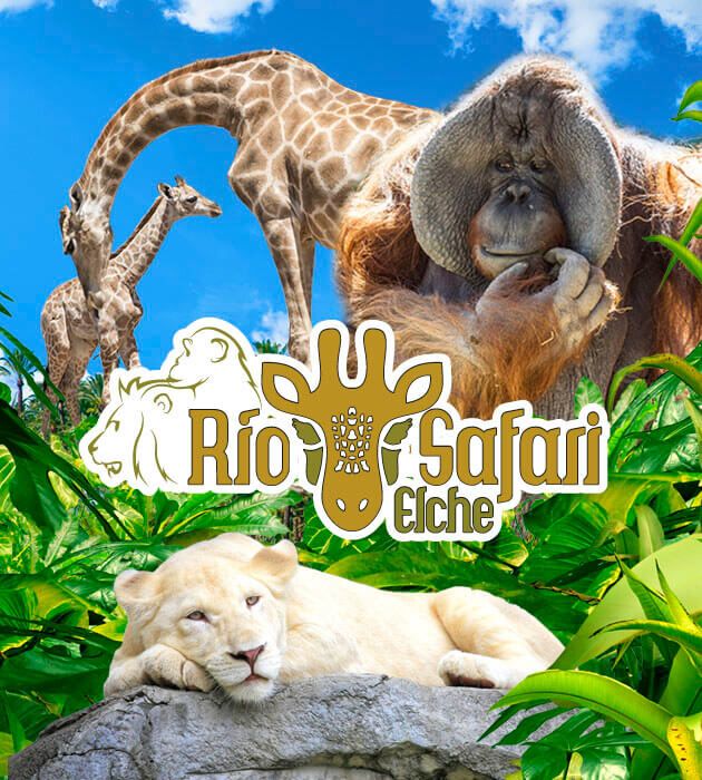 Río Safari Elche, Elx / Elche, el Baix Vinalopó, Alacant / Alicante, Valencian Community, Spain