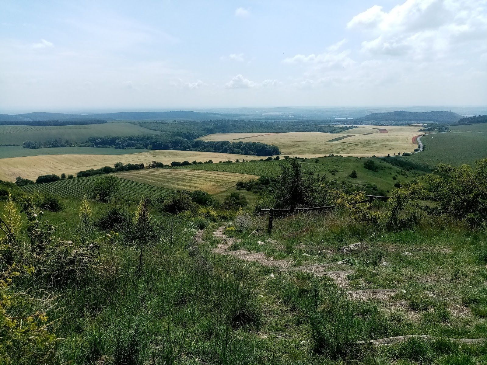 Pálava Protected Landscape Area, Mikulov, okres Břeclav, Jihomoravský kraj, Southeast, Czechia