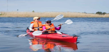 Saaremaa: Guided Kayaking Tour with Equipment