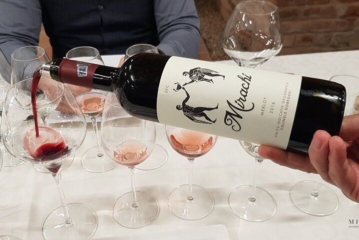 Day Tour: Visit Histria Ancient Citadel & Taste local wines