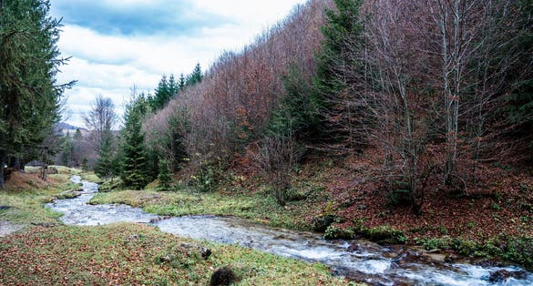 Photo of River around Cascada Urlătoarea in Romania .