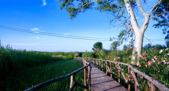 Fonte Ciane, Syracuse, Sicilia, Italy