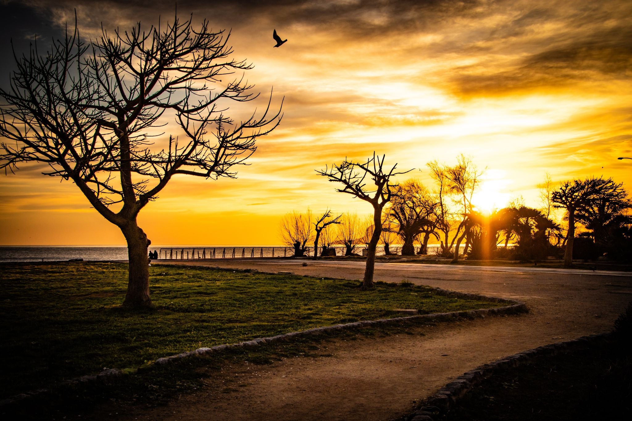 photo of view Gorgeous sunrise at the Foro Italico in Palermo, Sicily, Italy.