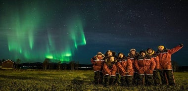 Northern Lights tour - All inclusive - Northern Horizon