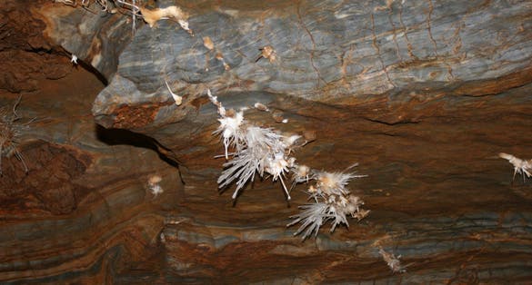 Photo of Ochtinská Aragonite Cave  ,Slovakia.