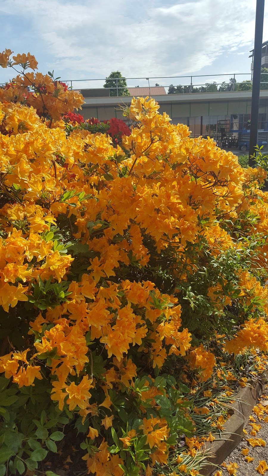 City ​​Park, Katrineholms kommun, Södermanland County, Sweden