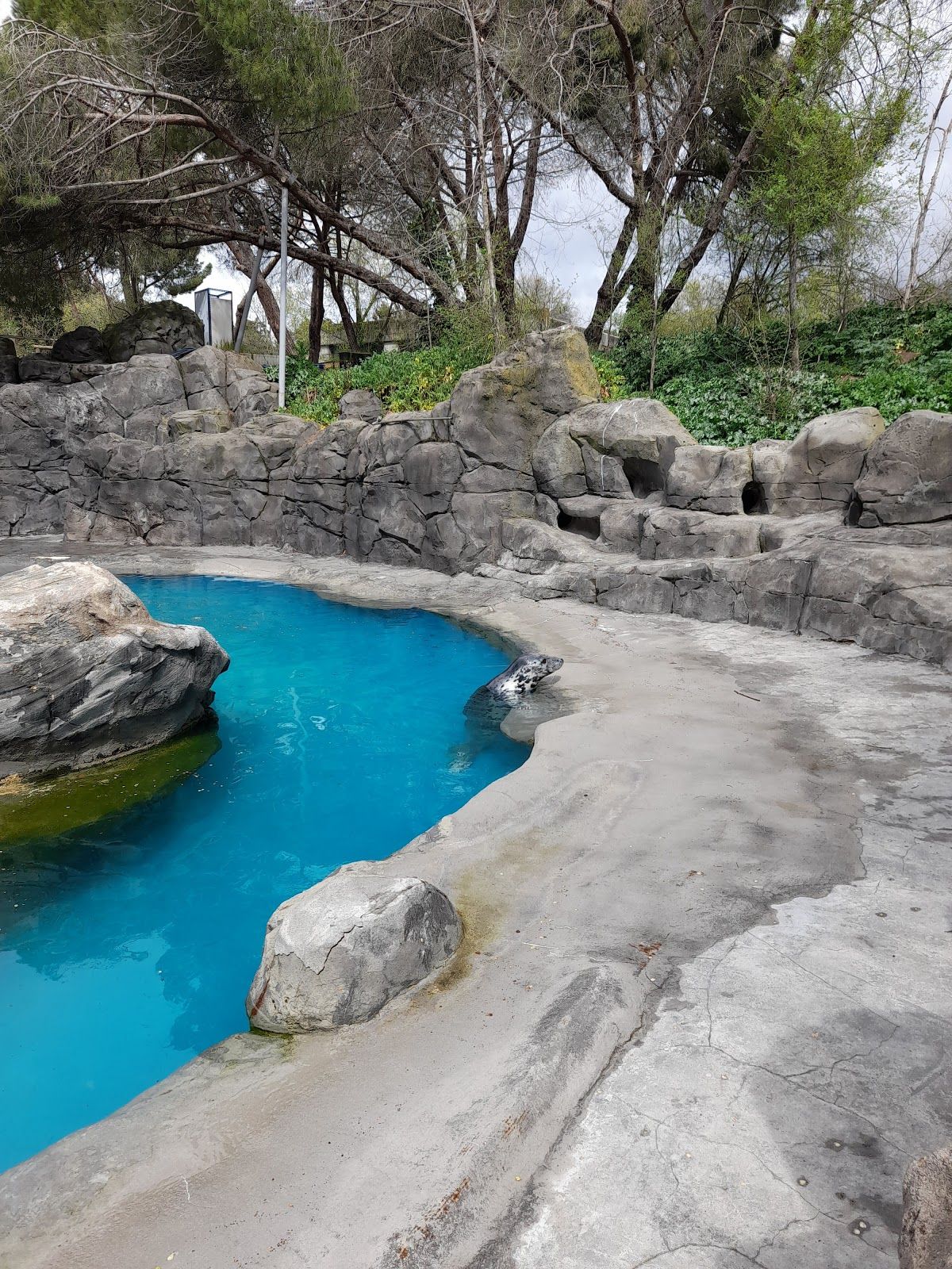 Zoo Aquarium de Madrid, Moncloa-Aravaca, Madrid, Área metropolitana de Madrid y Corredor del Henares, Community of Madrid, Spain