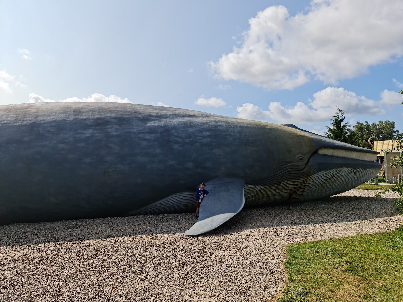 Park Wieloryba, gmina Rewal, Gryfice County, West Pomeranian Voivodeship, Poland