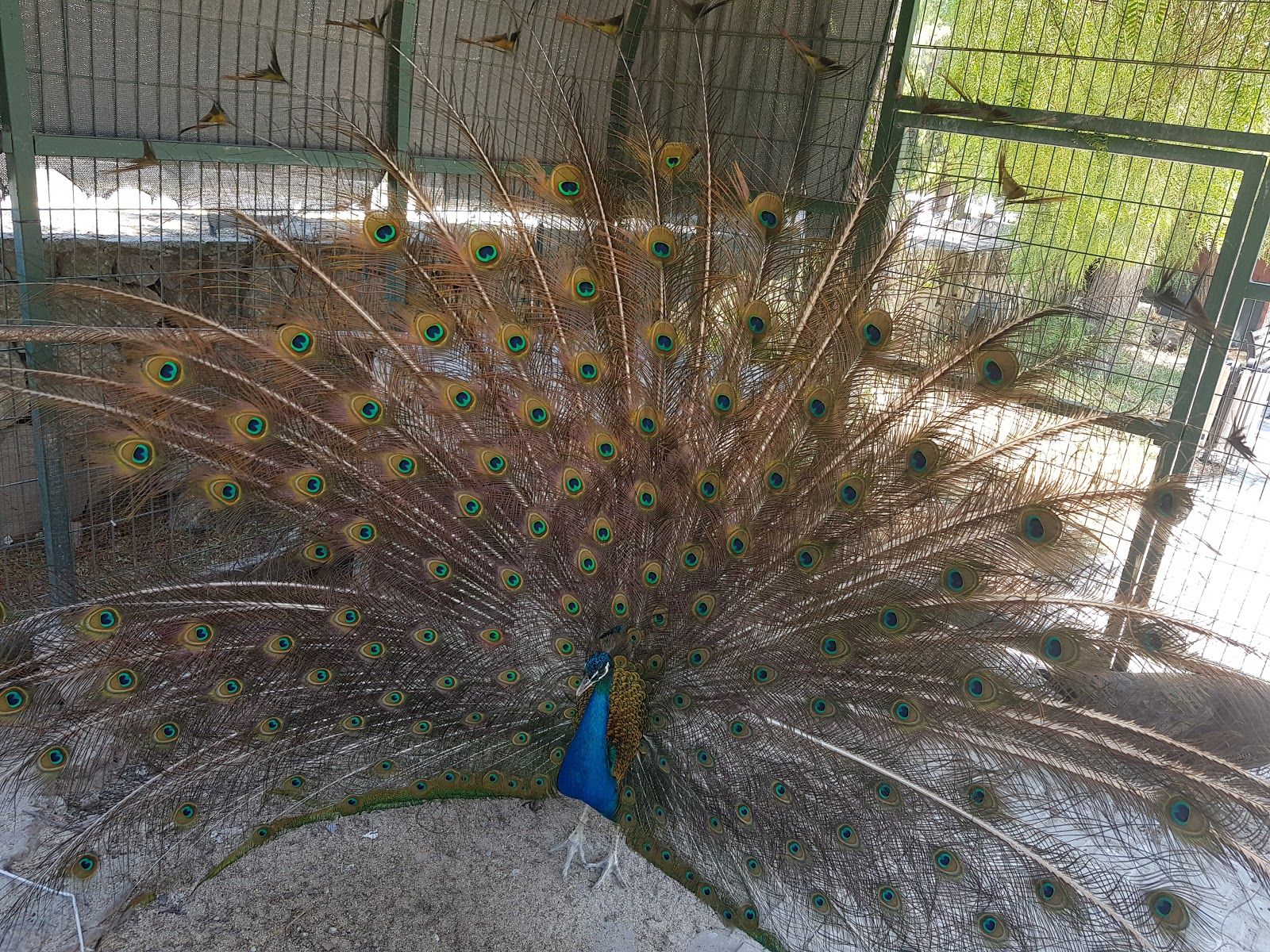 Peace Park, Girne (Kyrenia) District, Northern Cyprus, Cyprus