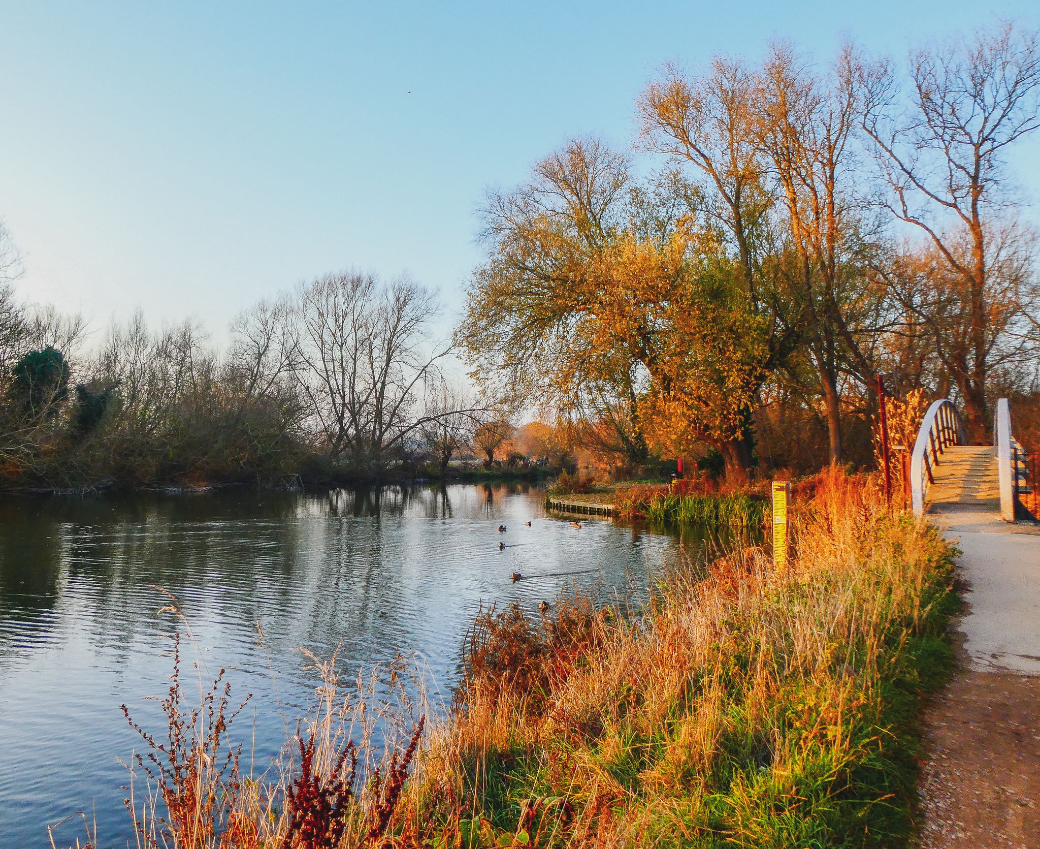 Photo of beautiful landscape of Port Meadow in Oxford, England.