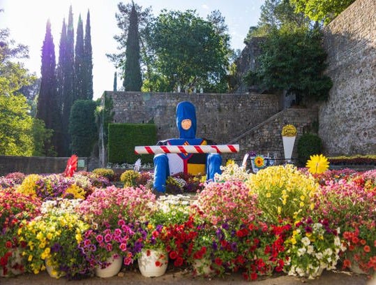 girona flower.jpg