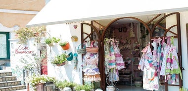 From Salerno: Small Group Amalfi Coast boat tour with stops in Positano & Amalfi