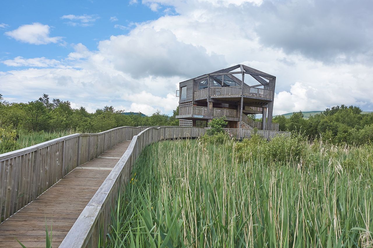 Photo of Cors Dyfi nature reserve, UK.