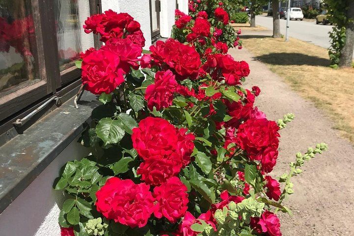 Hamlet und Schweden Tour - Zwei Länder an einem Tag !