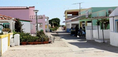 2 Stop | 2 Islands & Ria Formosa Natural Park - From Faro