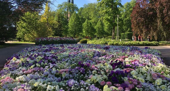 photo of Linnéparken in Kronoberg, Sweden.