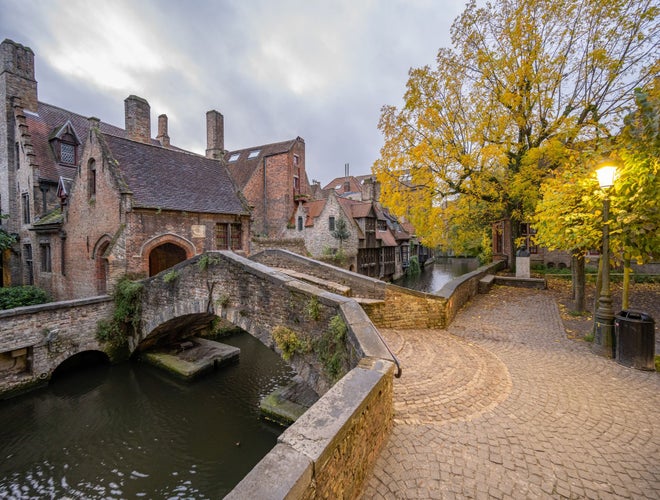 shutterstock_2390145189 (1).jpg