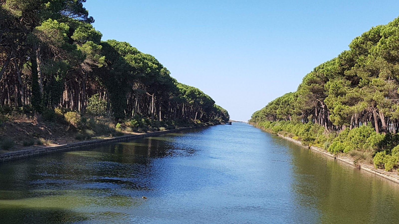 Parco Regionale Migliarino, San Rossore, Massaciuccoli, Pisa, Tuscany, Italy