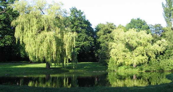 Park Źródliska Łódź,Poland.